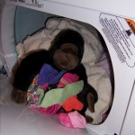 Yes, that is a gorilla in the dryer. Why do you ask??