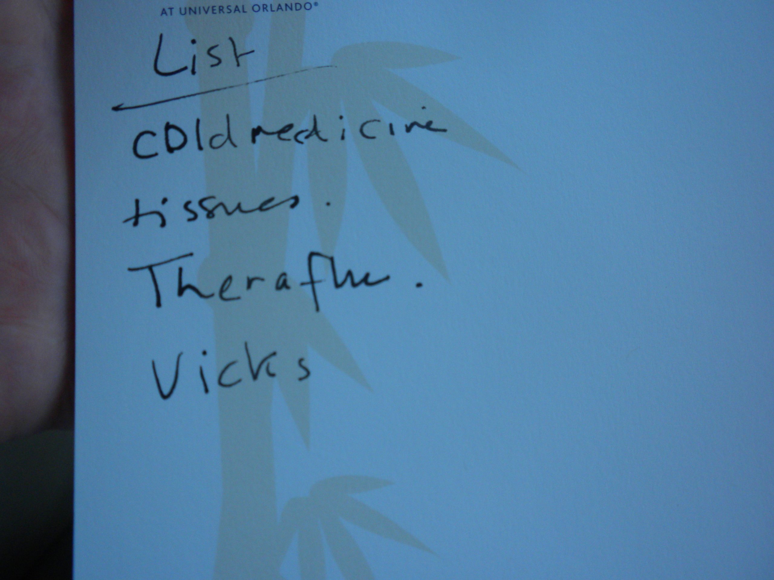 Sickness list: Cold medicine, tissues, Theraflue, and Vicks